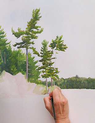 watercolour painting demo by debbie homewood