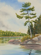 watercolour Morning Light at the Lake