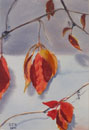 watercolour Fall #1
